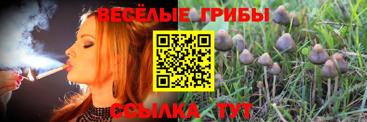 Галлюциногенные грибы прущие грибы Мытищи